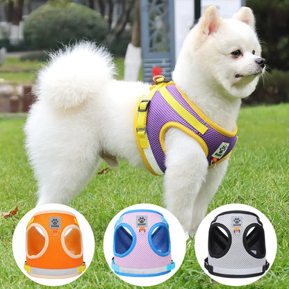 Two-tone Cat Small Dog Harness and Leash Set Breathable Mesh Reflective Escape Proof Puppy Kitten Walking Vest Style Pet Harness