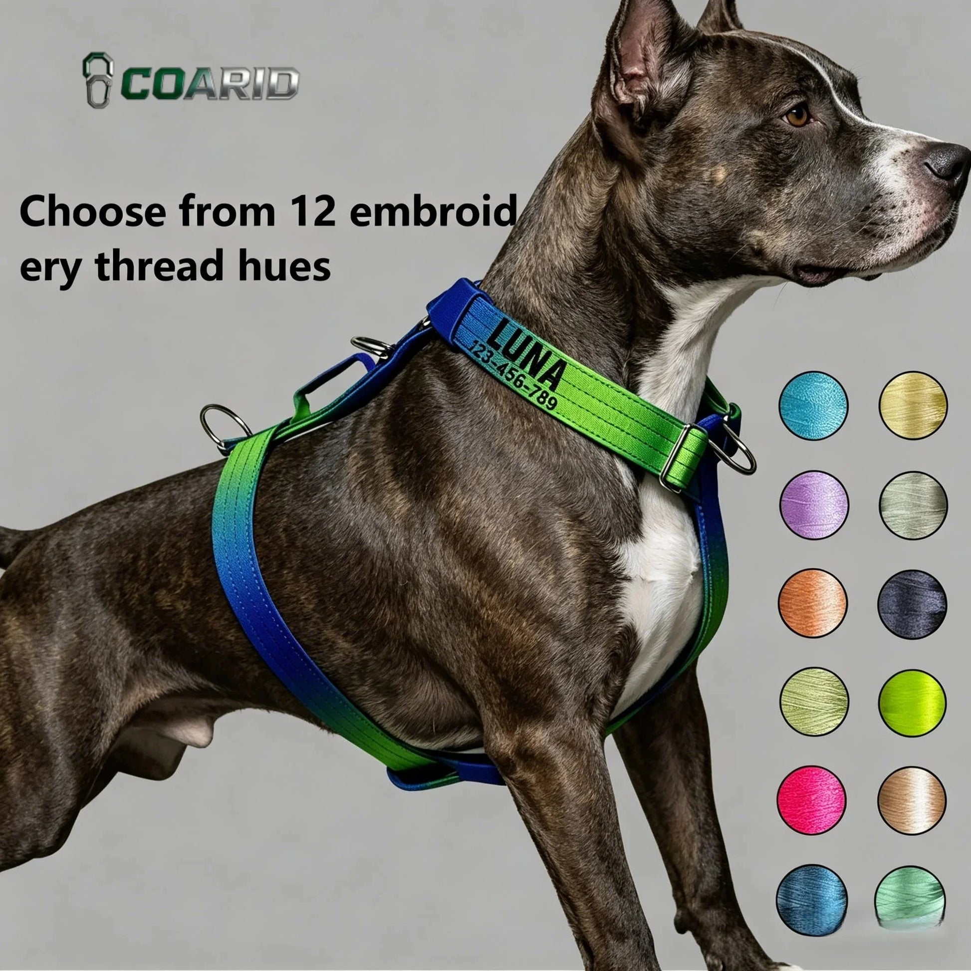 ZOOMNSTORE
