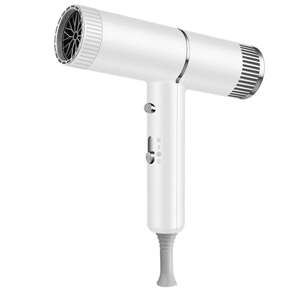 Professional Hair Dryer – Quick Drying Ionic Hair Styling Tool With High Wind Power