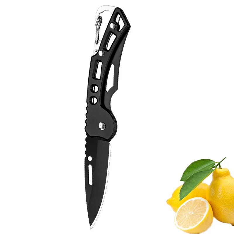 Stainless Steel Folding Fruit Knife with Keychain - Non-Slip Pocket Slicing Knife