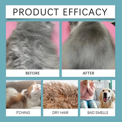 Waterless No Rinse Dry Shampoo For Cat Dog Animal Grooming Pet Cleaning Friendly Dog Dry Foaming Bath Spray Pet Supplies 150ml