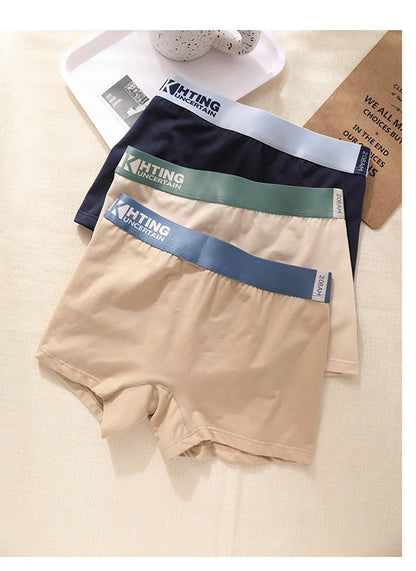 3PCS/Pack 100% Cotton Breathable Antibacterial Women's Panties Comfortable Soft Lingerie High Elastic Waistband Female Underwear