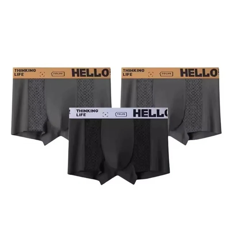 3PCS/LOT Men's Underwear Breathable Mesh Man Underpants Male Thin Sexy Boxers Men Panties Boxer Shorts Ice silk