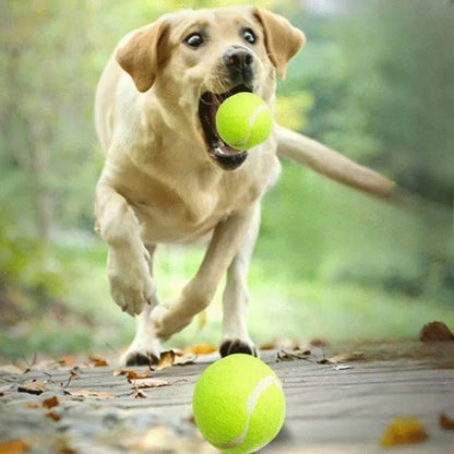 A Tennis Balls for Dogs, 2-Inch Size, Compatible with Most Automatic Ball Launchers Idea for Small Dogs(12 Balls Only)