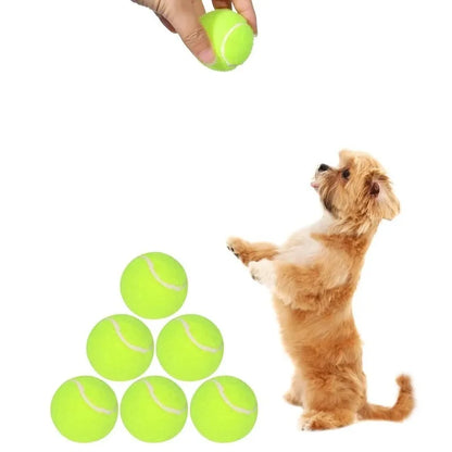 A Tennis Balls for Dogs, 2-Inch Size, Compatible with Most Automatic Ball Launchers Idea for Small Dogs(12 Balls Only)
