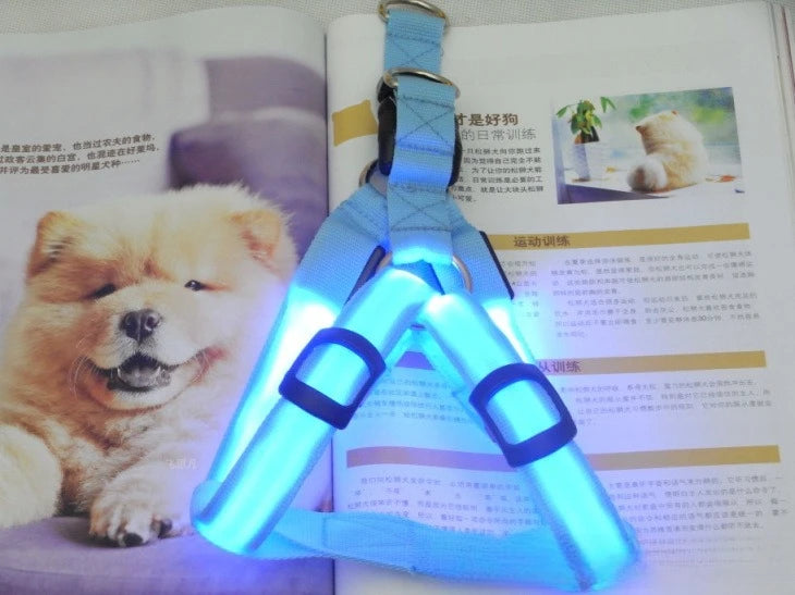 Fashion LED Electronic Pet Harness Nylon Dog Accessories Flashing Light Pet Leash Rope Belt Dog Glowing Vest Pet Supplies