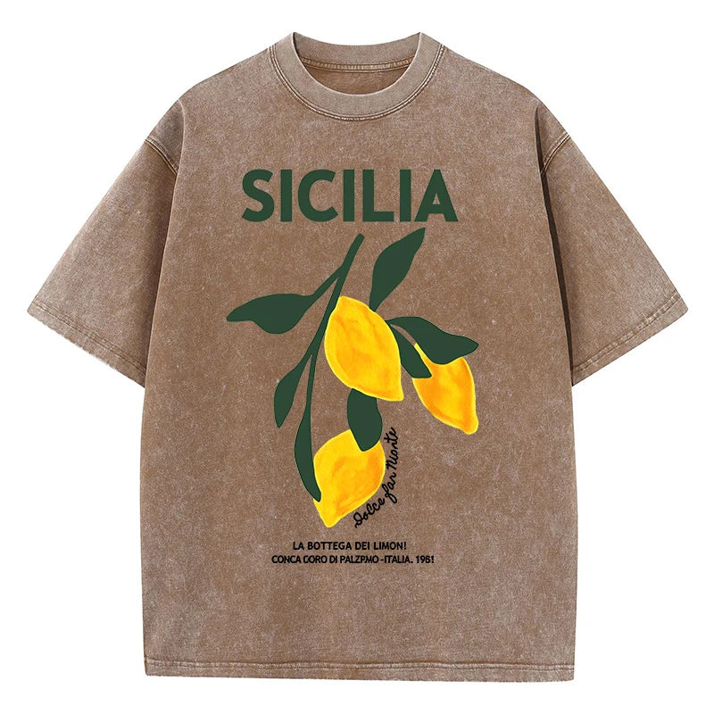 Amalfi Coast Italia Lemon Fruit Design Women Washed T-Shirts Y2K Casual T Shirt Summer Hip Hop Top Cotton Loose Short Sleeve