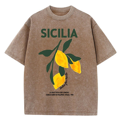 Amalfi Coast Italia Lemon Fruit Design Women Washed T-Shirts Y2K Casual T Shirt Summer Hip Hop Top Cotton Loose Short Sleeve