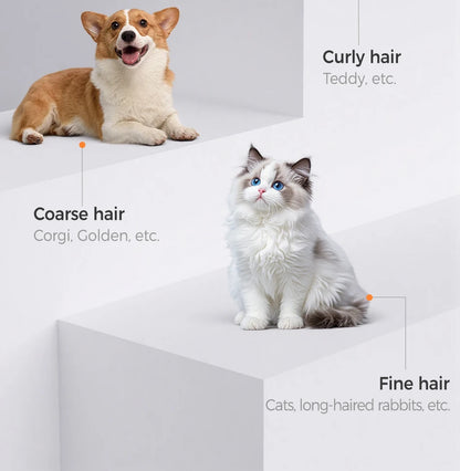 ROJECO Electric Pet Trimmer 4 in 1 Professional Grooming Kit For Dog Cat Hair Multifunctional Dog Trimmer Haircut Shaver Clipper