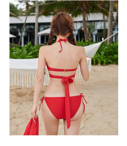New Three Piece Minimalist and Fashionable Bikini with Small Chest and Split Swimsuit for Women's Hot Spring Vacation Swimsuit