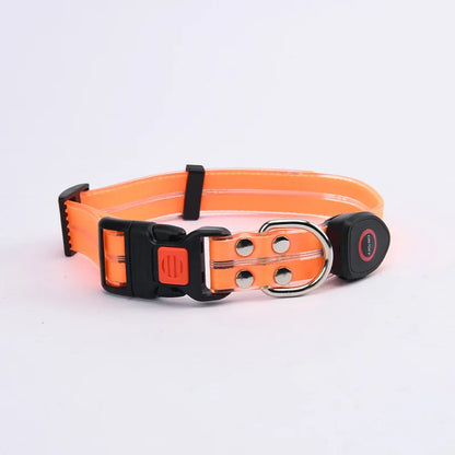 Pet light-up collar leash LED flashing collar USB charging dog walking pulling belt adjustable dog collar fashion pet supplies