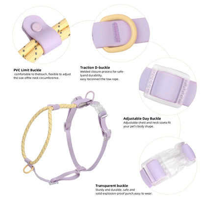 Small And Medium Dogs Harness For Summer Pet dog Walking Running Outdoor Fashion Harness No Pull Safety Reflective Nylon Leashes