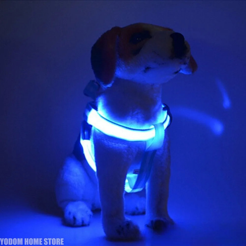 Fashion LED Electronic Pet Harness Nylon Dog Accessories Flashing Light Pet Leash Rope Belt Dog Glowing Vest Pet Supplies