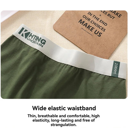 3PCS/Pack 100% Cotton Breathable Antibacterial Women's Panties Comfortable Soft Lingerie High Elastic Waistband Female Underwear