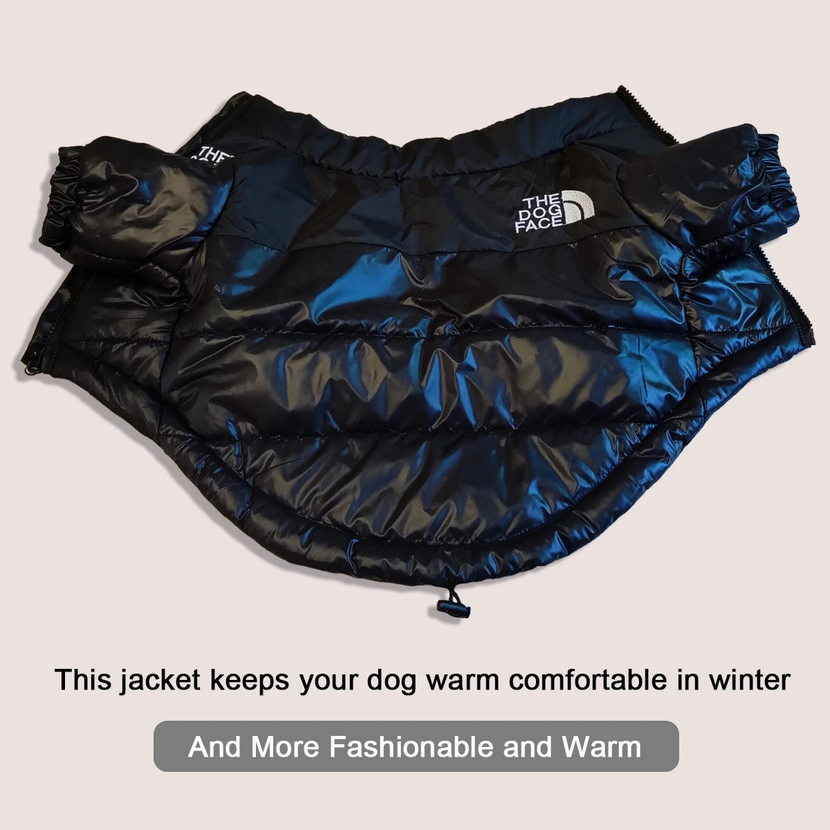 ZOOMNSTORE