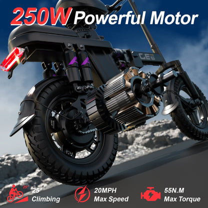 UPlee GE5 48V 15AH Battery EBike 30+MPH 250W Folding Electric Bike 30 Miles Max Range Electric Bike for Adults 14" Fat Tire