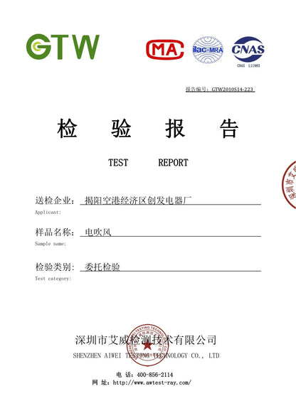 Professional Hair Dryer - Foldable High Power Negative Ion Blu-Ray Electric Blow Dryer