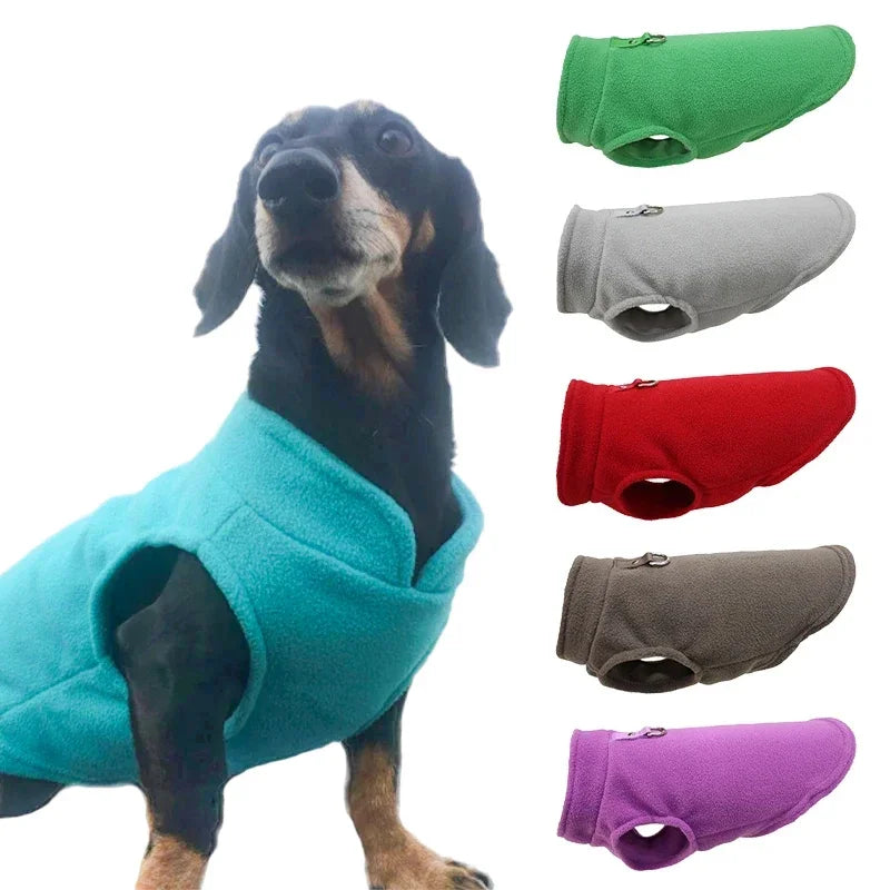 ZOOMNSTORE