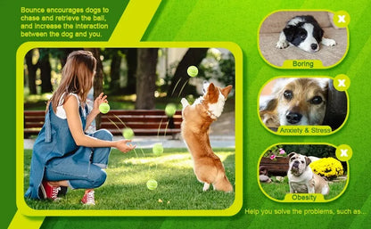 A Tennis Balls for Dogs, 2-Inch Size, Compatible with Most Automatic Ball Launchers Idea for Small Dogs(12 Balls Only)