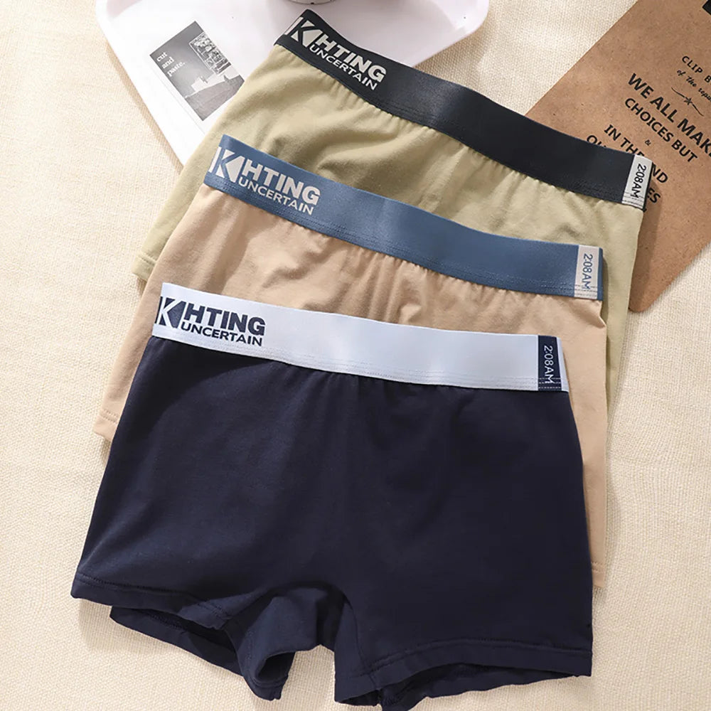3PCS/Pack 100% Cotton Breathable Antibacterial Women's Panties Comfortable Soft Lingerie High Elastic Waistband Female Underwear