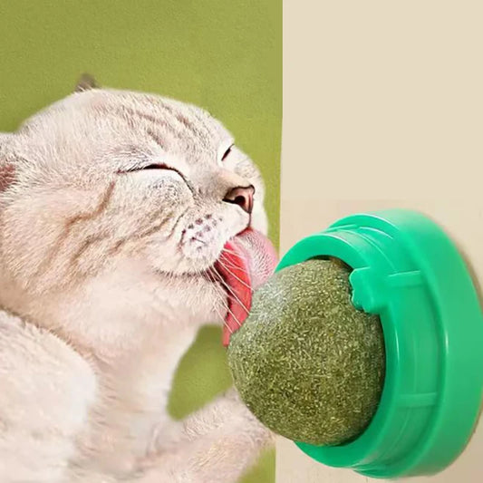 Catnip Wall Ball Toy - Natural Scratchers  Digestion Treats - ZOOMNSTORE