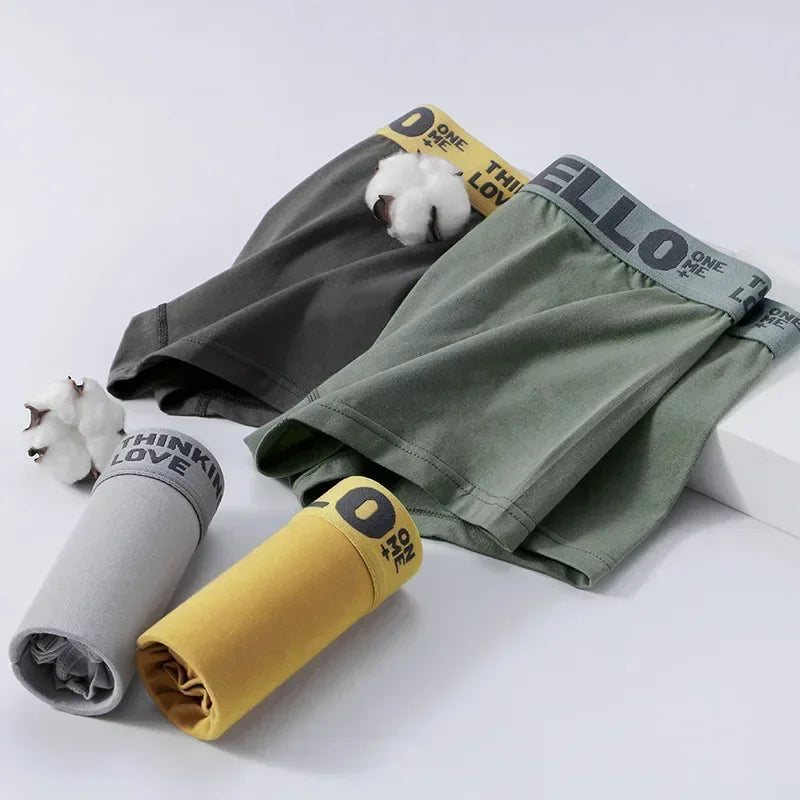 1/5pcs Men's Underwear, Breathable Comfy Quick Drying Stretchy Boxer Trunks, Sexy Underpants, Men's Trendy Boxer Panties