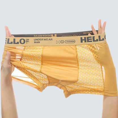 3PCS/LOT Men's Underwear Breathable Mesh Man Underpants Male Thin Sexy Boxers Men Panties Boxer Shorts Ice silk