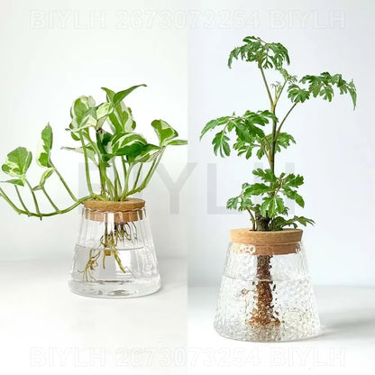Hydroponic Glass Flower Pots - Transparent Small Vase with Base Tray for Home Decoration