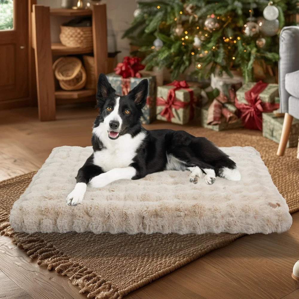 Ultra Plush Dog Bed - Large Soft Pet Cushion with Premium Foam & Removable Cover