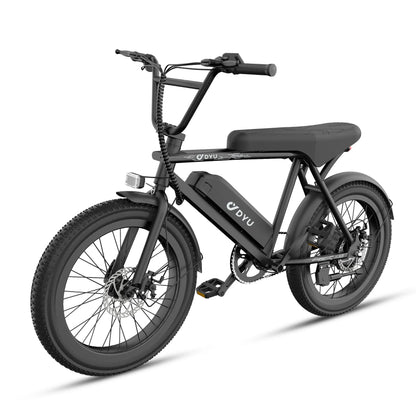 DYU BMX Electric Bike 20*3.0 Fat Tire E-Bike 48V 13Ah Removable Battery 1000W Peak Motor City Electric Bicycle for Adults