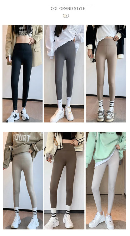 Seamless Leggings Women – High Waist Brushed Shark Fitness Pants | Slim Fit