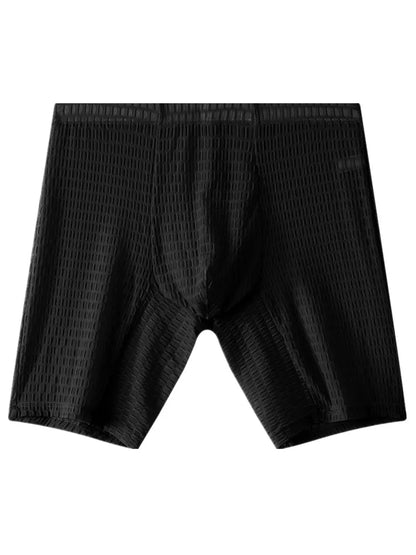 Mens Underpant Solid Transparent Mesh Boxers Shorts Man Soft Lace Underwear Breathable U Convex Pouch Panites Cueca Calzoncillo