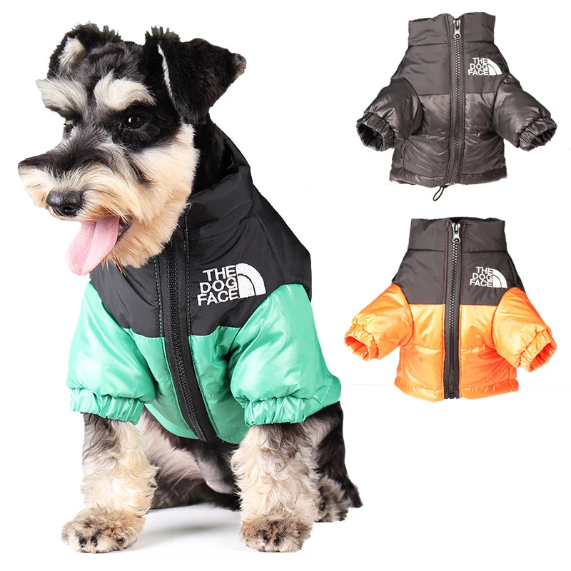 ZOOMNSTORE