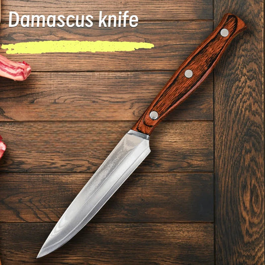 67-Layer Damascus VG10 Fruit  Paring Knife - High-Grade Universal Western Steak Knife