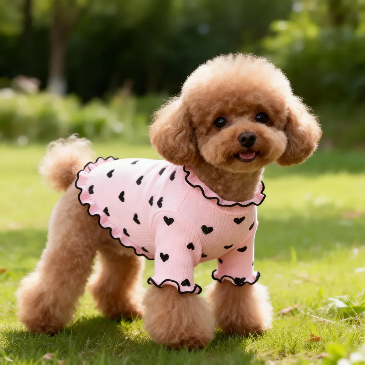 Pet T-shirt With Stretch Ribbed Heart Pattern Clothes Cute Home Vest Tshirt Suitable For Dogs And Cats