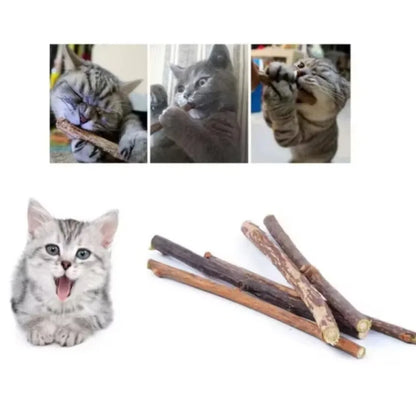15pcs Natural Matatabi Cat Catnip Toy Kitten Molar Chew Stick Pet Cleaning Teeth Cat Treat Toy Actinidia Silvervine Pet Products