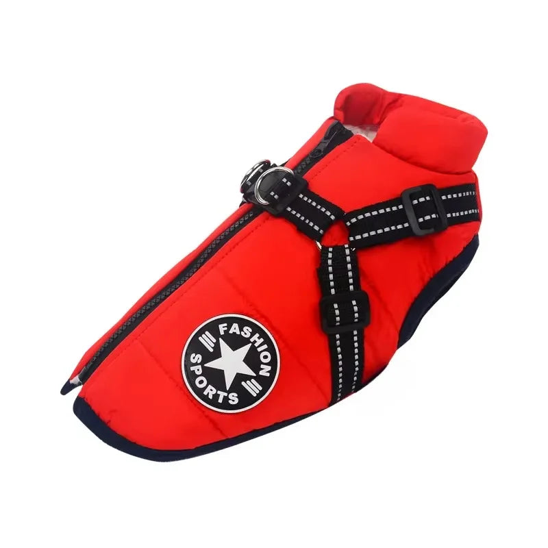 ZOOMNSTORE