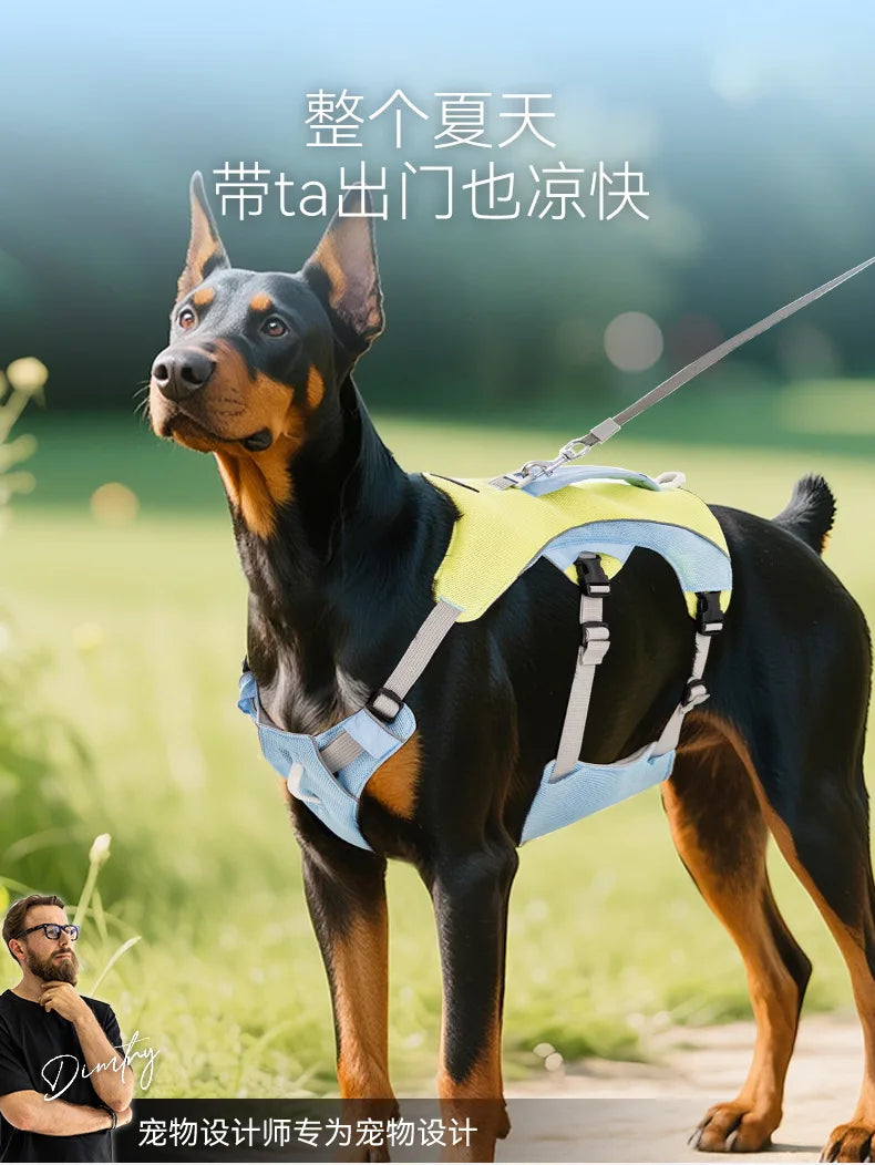 Summer Cooling Vest Style Dog Harness Breathable Leash for Small Medium Large Dogs Golden Retriever