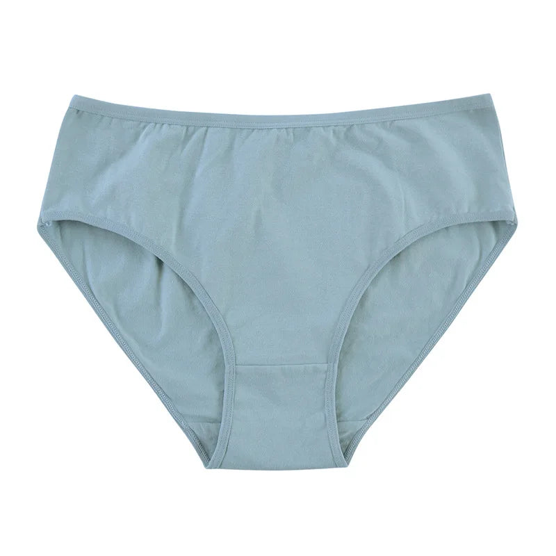 Seamless Cotton Panties - Women’s Soft Cotton Lingerie Set | Big Size Underwear - ZOOMNSTORE