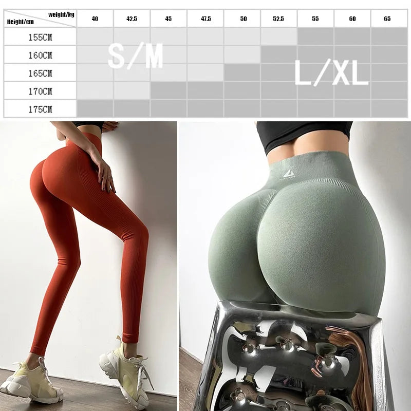 High Waist Seamless Yoga Pants - Womens Fitness Leggings Push-Up Gym Tights - ZOOMNSTORE