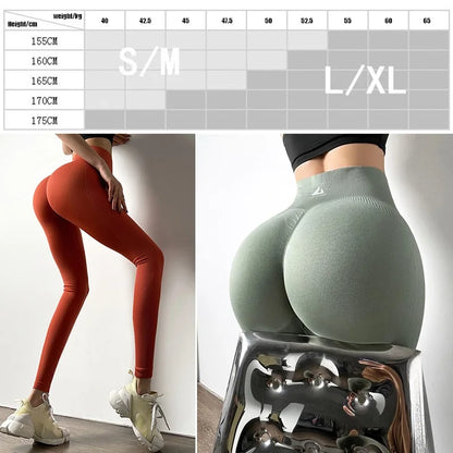 High Waist Seamless Yoga Pants - Womens Fitness Leggings Push-Up Gym Tights - ZOOMNSTORE