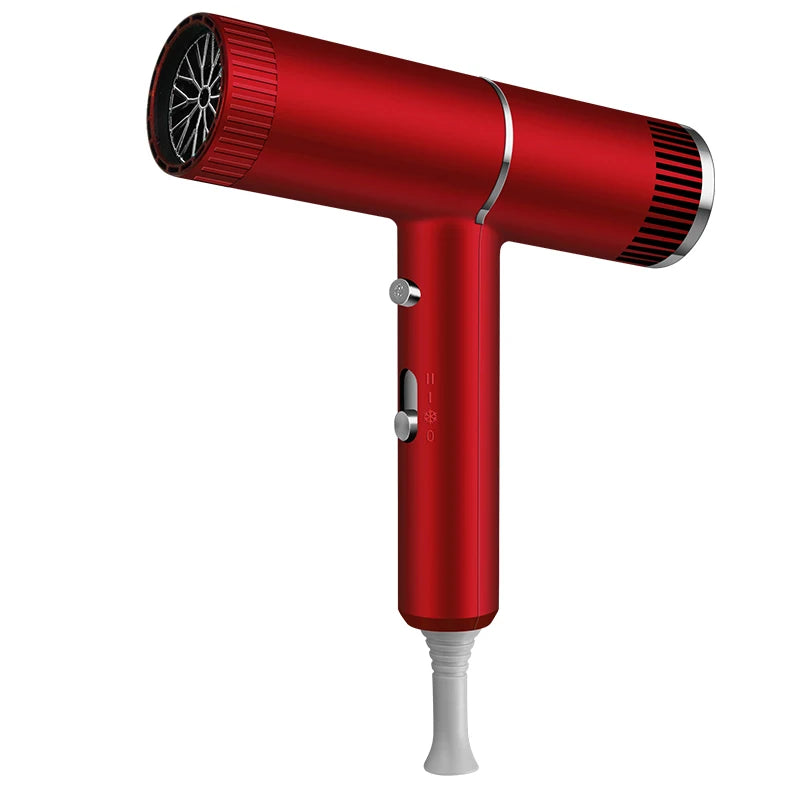 Professional Hair Dryer – Quick Drying Ionic Hair Styling Tool With High Wind Power