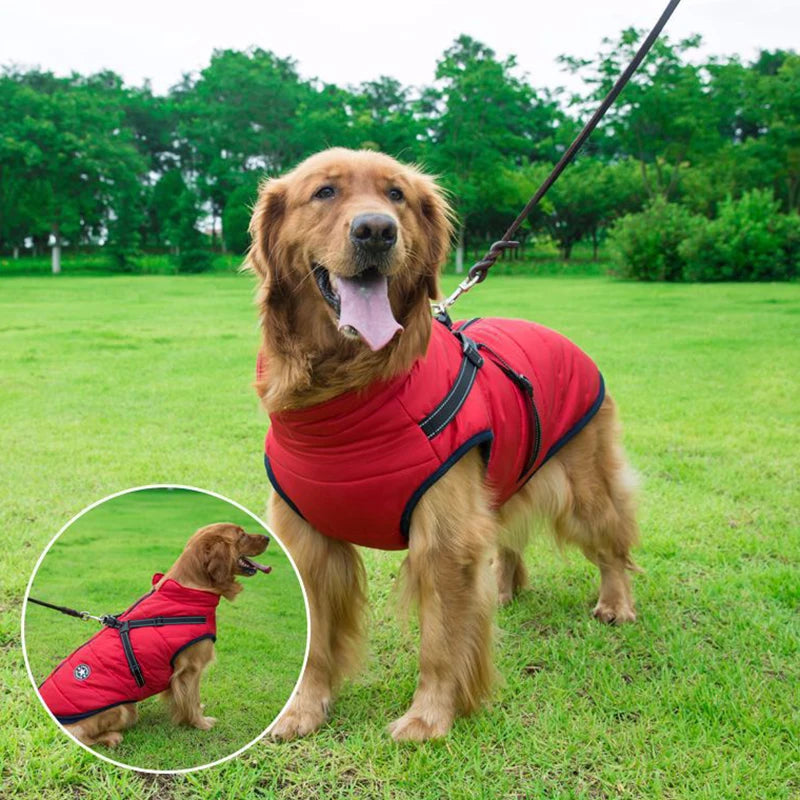 Winter Dog Clothes with Harness Waterproof Warm Pet Dog Cotton Jacket for Small Large Dogs Puppy Clothing French-Bulldog Coat