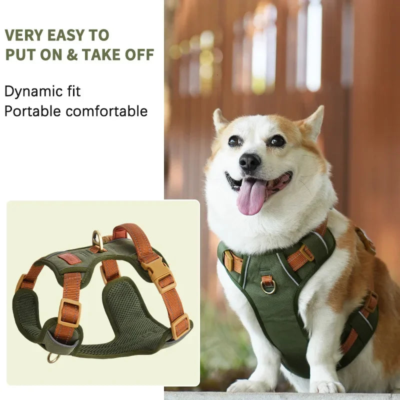 ZOOMNSTORE