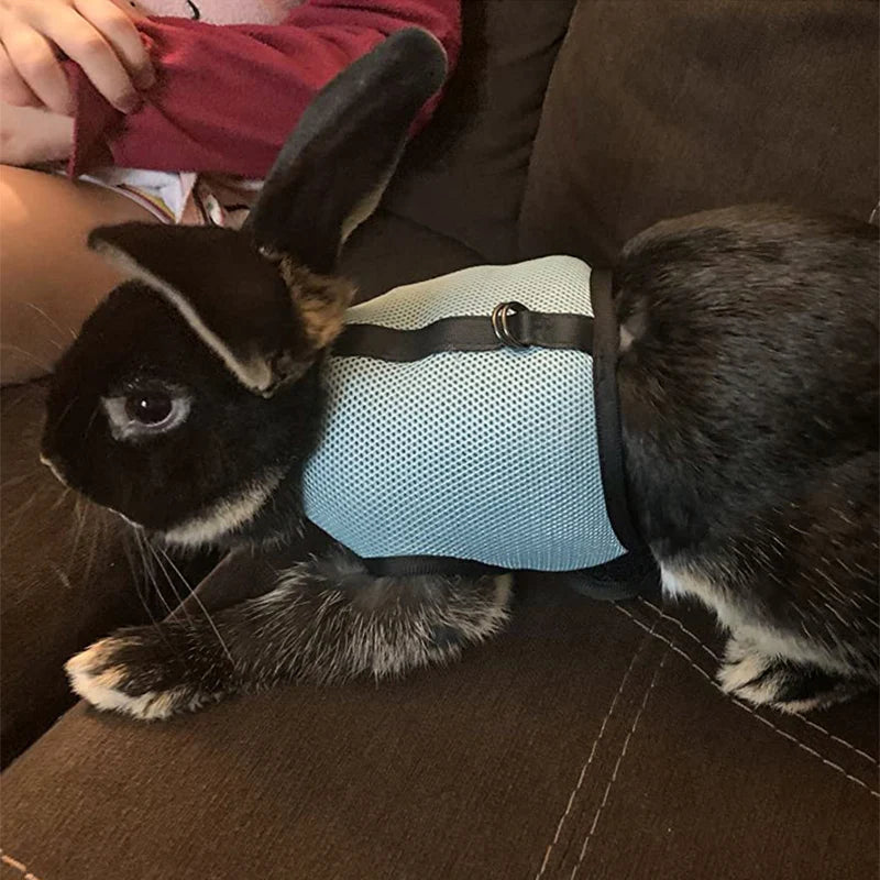 Solid Adjustable Pet Harness and Leash for Rabbit Bunny Cat Ferrets Outdoor Walking Pets Supplies Lapin Accessoires Pour Animaux