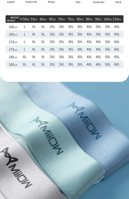 MiiOW 4Pcs Ice Silk Men Boxer Shorts Graphene Antibacterial Men Underwear Man Underpants Seamless Breathable Mens Panties L-5XL