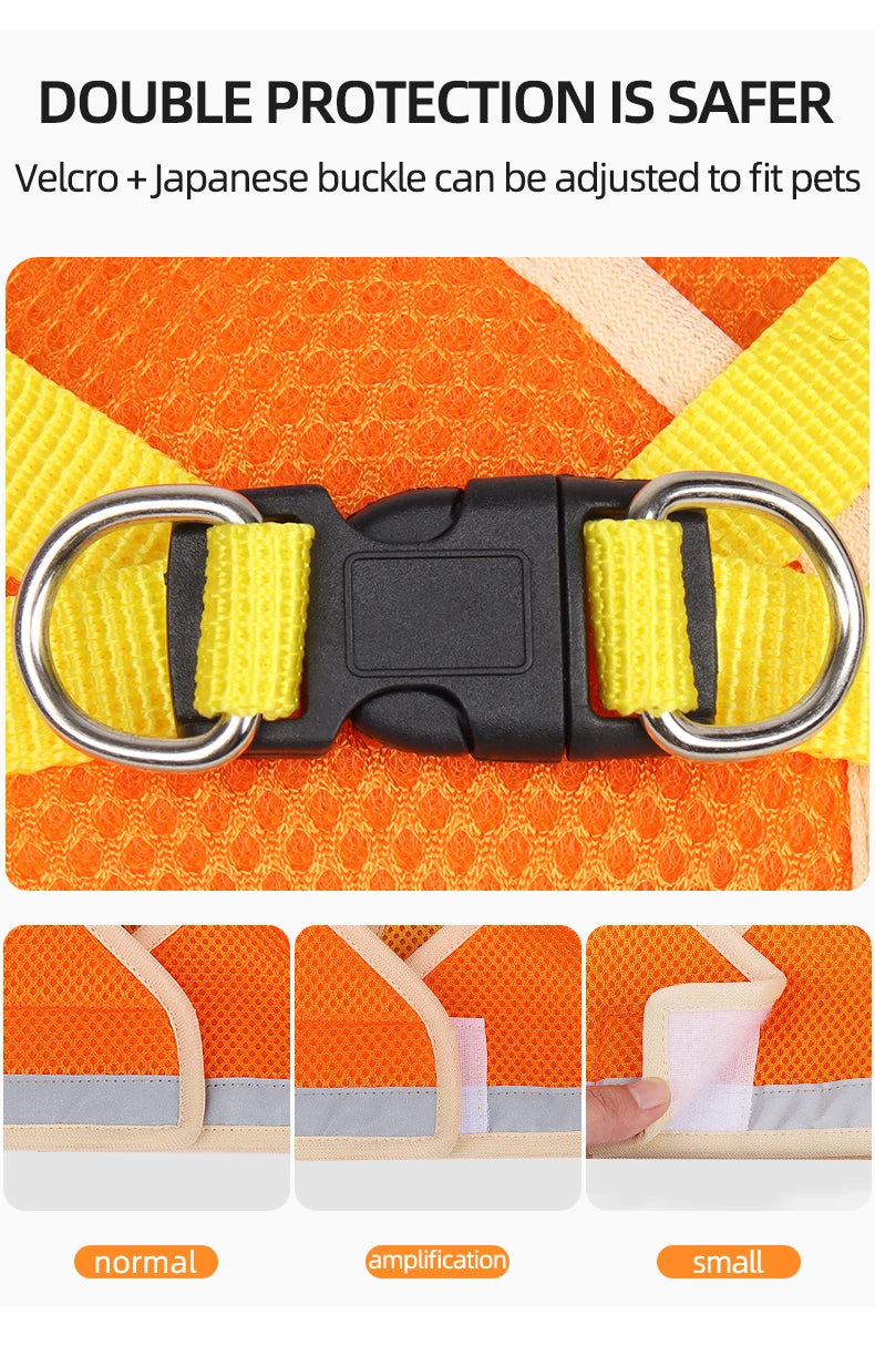Two-tone Cat Small Dog Harness and Leash Set Breathable Mesh Reflective Escape Proof Puppy Kitten Walking Vest Style Pet Harness