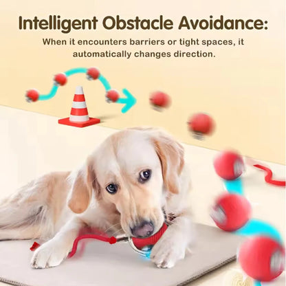 Self-satisfied cat toys that can be bitten by long-lasting smart cat balls automatically avoid pets with ropes and jump balls