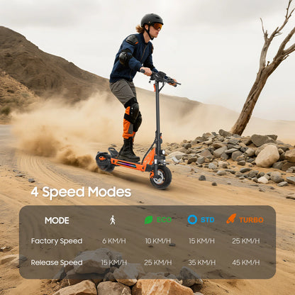 TOFUN TF3 Electric Scooter 1000W Motor 48V13Ah Battery Adult Sport Road Mountain E-Scooter 10Inch Tires Snow Foldable EScooter