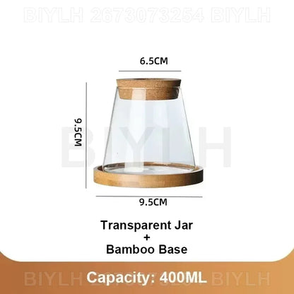 Hydroponic Glass Flower Pots - Transparent Small Vase with Base Tray for Home Decoration